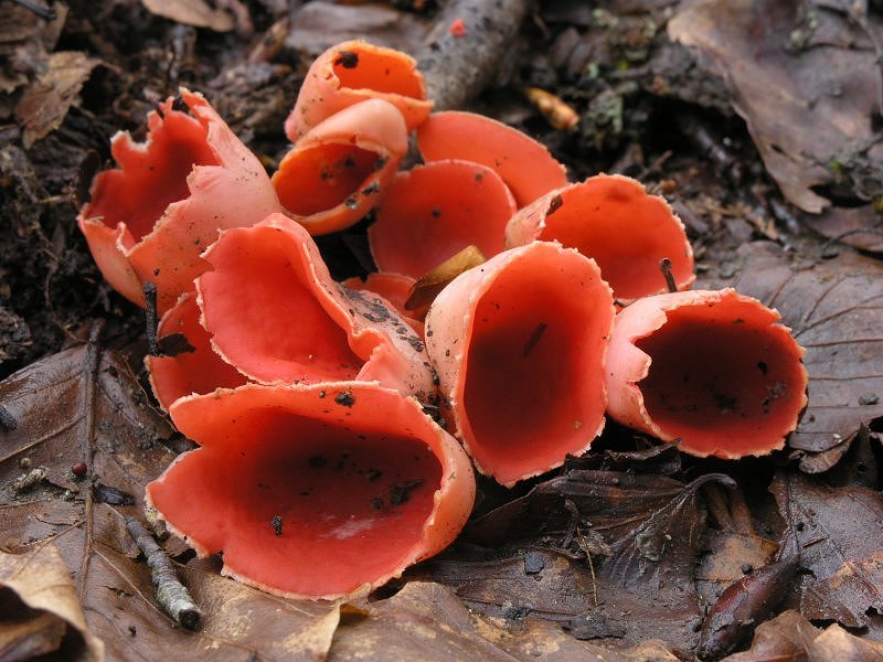 Ancora pi� in alto, dove si scioglie la neve ....